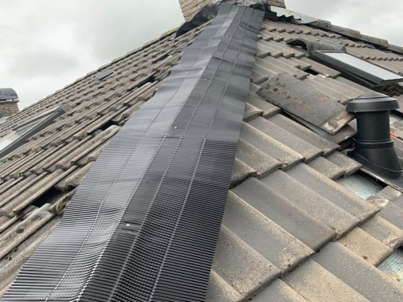 Nokvorst renovatie Boxtel