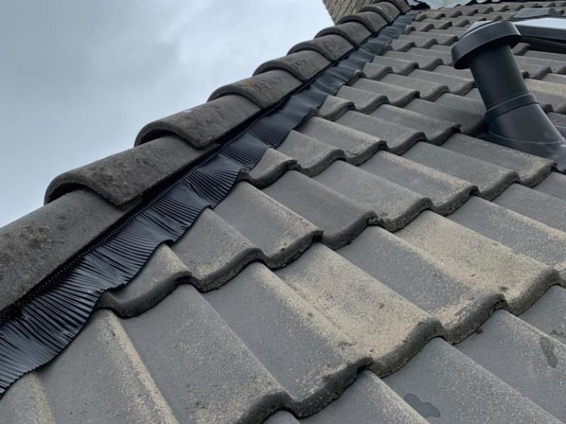 Nokvorst renovatie Boxtel