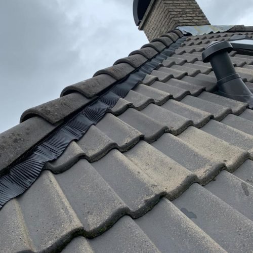 Nokvorst renovatie Boxtel