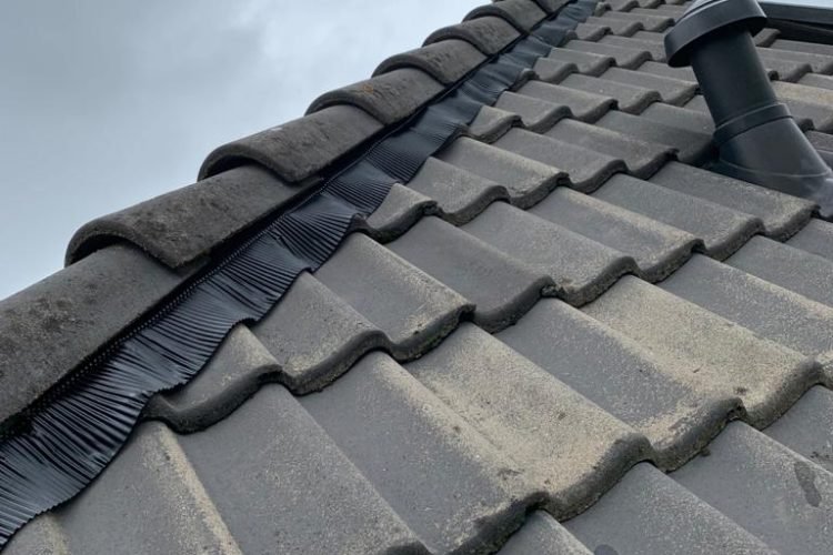 Nokvorst renovatie Boxtel